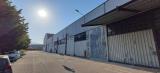 Superfici commerciali, FROSINONE, 800.000 €, 1580,00 mq