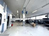 Superfici commerciali, BRUINO, 250.000 €, 500,00 mq