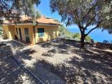 Casa, CIPRESSA, 530.000 €, 165,00 mq