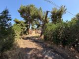 Casa, FOGGIA, 105.000 €, 132,00 mq