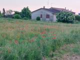 Casa, LENDINARA, 110.000 €, 180,00 mq