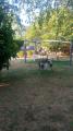 Casa, LUCCA, 450.000 €, 260,00 mq