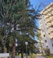 Appartamento, CORSICO, 159.000 €, 55,00 mq