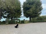 Casa, MASSIGNANO, 400.000 €, 380,00 mq