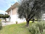 Casa, BASSANO DEL GRAPPA, 325.000 €, 276,00 mq