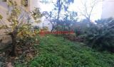 Appartamento, LIVORNO, 470.000 €, 343,00 mq