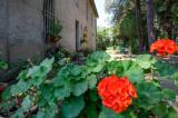 Casa, RAVENNA, 390.000 €, 435,00 mq