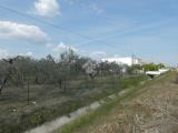 Casa, SCANZANO JONICO, 179.000 €, 150,00 mq
