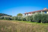 Appartamento, COSTERMANO, 289.000 €, 85,00 mq