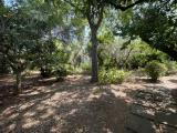 Casa, PALERMO, 850.000 €, 260,00 mq