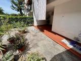Casa, CAMPI BISENZIO, 509.000 €, 220,00 mq