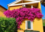 Appartamento, PORTOFERRAIO, 275.000 €, 65,00 mq
