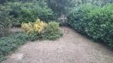 Casa, PIACENZA, San Bonico, 395.000 €, 200,00 mq