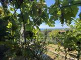 Appartamento, VARAZZE, 400.000 €, 85,00 mq