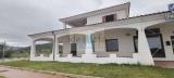 Superfici commerciali, SINISCOLA, 200.000 €, 163,00 mq