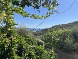 Casa, MONTE ARGENTARIO, 700.000 €, 127,00 mq