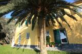 Casa, RECCO, 1.350.000 €, 270,00 mq