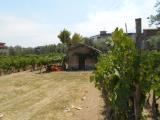 Casa, ROMA, Borghesiana , 70.000 €, 40,00 mq