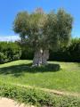 Casa, POLIGNANO A MARE, 360.000 €, 102,00 mq
