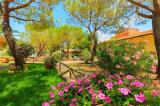 Appartamento, PIOMBINO, 60.000 €, 37,00 mq