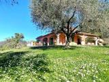 Casa, SARZANA, 540.000 €, 350,00 mq