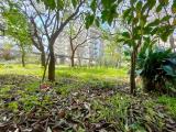 Appartamento, GIFFONI VALLE PIANA, 80.000 €, 80,00 mq