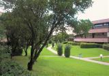 Appartamento, BIBBONA, 108.000 €, 33,00 mq