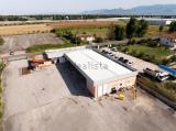 Superfici commerciali, SABAUDIA, 1.100.000 €, 2200,00 mq