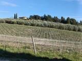 Appartamento, CORTONA, Tavarnelle, 90.000 €, 43,00 mq