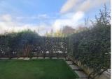 Appartamento, ROVATO, 150.000 €, 60,00 mq