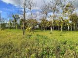 Casa, NURAMINIS, 55.000 €, 60,00 mq