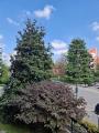 Appartamento, SAN SIRO, 850.000 €, 200,00 mq