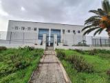 Superfici commerciali, MOLFETTA, 3.100.000 €, 2838,00 mq