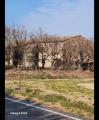 Casa, BAGNACAVALLO, 115.000 €, 150,00 mq