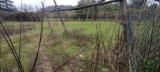 Appartamento, VICCHIO, 220.000 €, 130,00 mq