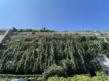 Appartamento, MILANO, Indipendenza, 595.000 €, 135,00 mq
