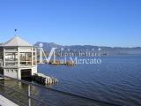 Superfici commerciali, VIAREGGIO, 390.000 €, 215,00 mq