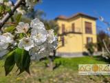 Casa, TORTONA, 310.000 €, 173,00 mq