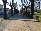 Appartamento, BORGO SAN LORENZO, 115.000 €, 52,00 mq