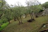 Casa, LEIVI, 85.000 €, 95,00 mq