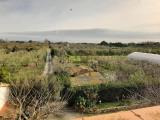 Casa, ROSIGNANO MARITTIMO, 640.000 €, 300,00 mq