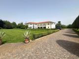 Casa, CADONEGHE, 970.000 €, 700,00 mq