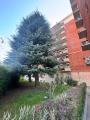 Appartamento, MILANO, 259.000 €, 50,00 mq