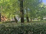 Appartamento, MILANO, 290.000 €, 88,00 mq