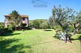 Casa, CAPALBIO, 1.000.000 €, 150,00 mq