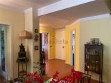 Casa, REGGIO NELL
