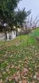 Casa, CAMPONOGARA, 120.000 €, 120,00 mq