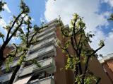 Appartamento, BOLOGNA, 388.000 €, 122,00 mq