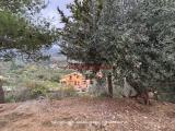Casa, MONREALE, 310.000 €, 160,00 mq