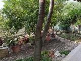 Appartamento, TERNI, 150.000 €, 132,00 mq